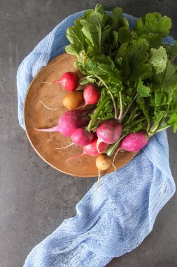 Taze renkli turp aldı. Sebze yetiştirme. Vejetaryen
