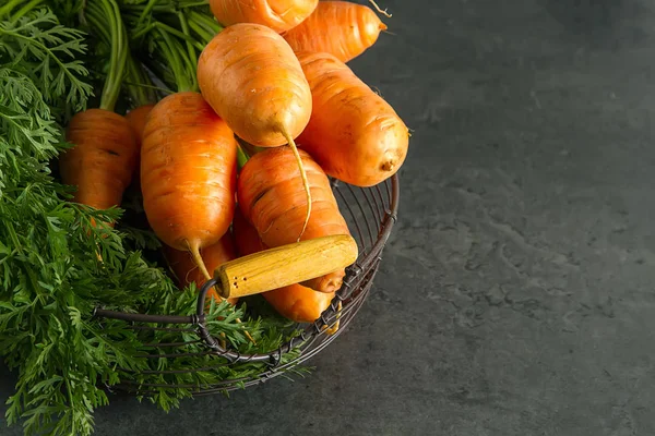 Young carrots. Fresh vegetarian products. Delicious food for chi — Stock Photo, Image