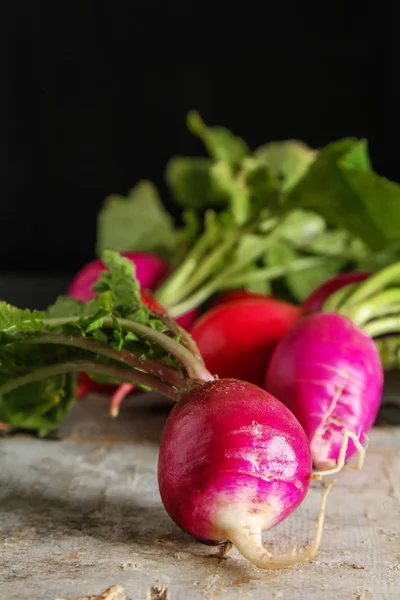 Vers geplukt kleurrijke radijs. Het kweken van groenten. Vegetarisch — Stockfoto