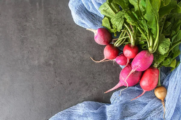 Taze renkli turp aldı. Sebze yetiştirme. Vejetaryen