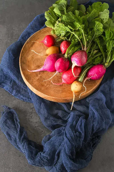 Vers geplukt kleurrijke radijs. Het kweken van groenten. Vegetarisch — Stockfoto