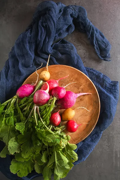 Taze renkli turp aldı. Sebze yetiştirme. Vejetaryen