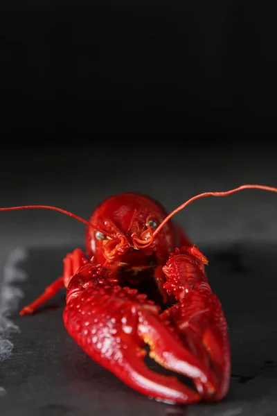 Delicious boiled crayfish close-up. Dark background. Dinner with — Stock Photo, Image