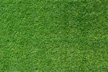 yeşil çim dokusu 