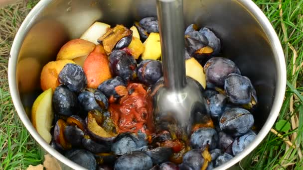 Chopping plums and pairs with metallic immersion blender — Stock Video