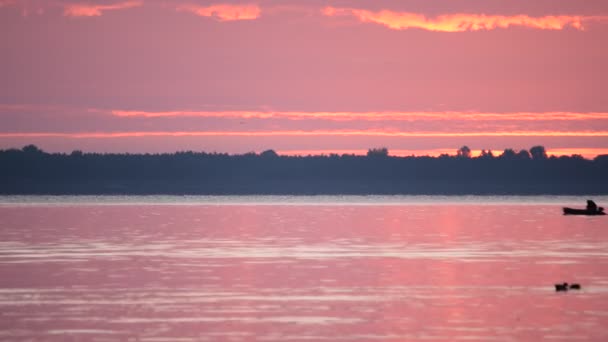 Sylwetka człowieka w łodzi i kaczki o świcie na rzece — Wideo stockowe