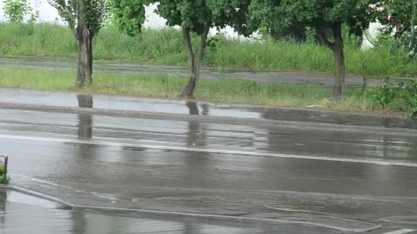 Stad weg onder zware regenval in de zomer met geen auto 's — Stockvideo