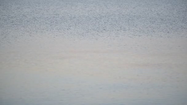 正体不明の男が水の上に石をスキップ — ストック動画