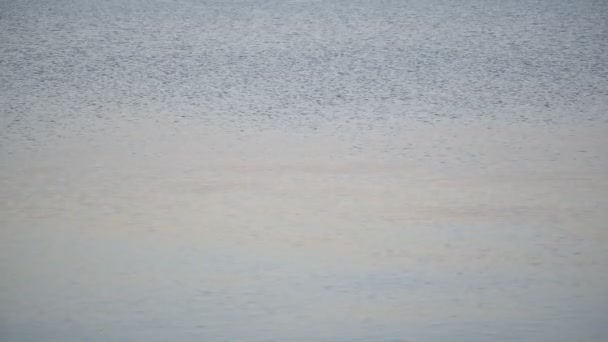 Unidentifiable man skipping stone on water — Stock Video