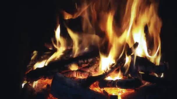 Fogo com troncos de madeira queimando — Vídeo de Stock
