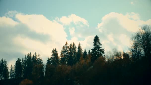 Nuvens brancas cumulus mover-se rapidamente sobre abetos — Vídeo de Stock