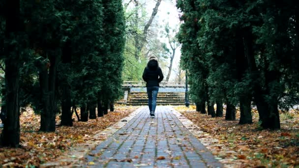 Adolescente chica en jeans y chaqueta negra camina en el parque — Vídeos de Stock