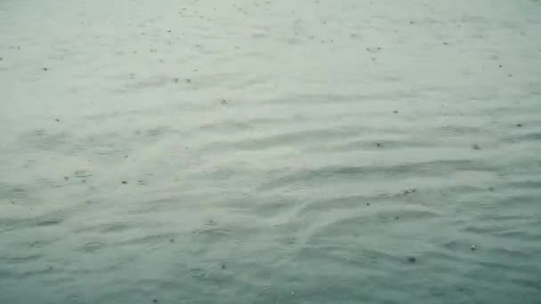 Σταγόνες βροχής πτώση στην επιφάνεια νερού — Αρχείο Βίντεο