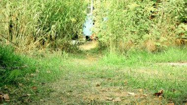 Eşofman pantolon içinde yürüyen kadın bacakları