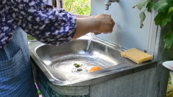 Vrouw tomaten wassen wastafel in de open lucht — Stockvideo