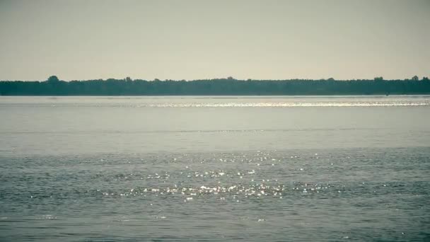 Water in lake or river sparking in sunlight — Stock Video