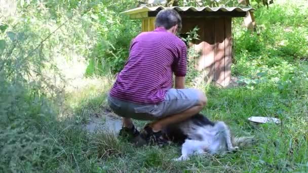 Молодой человек ласкает собаку на цепи — стоковое видео