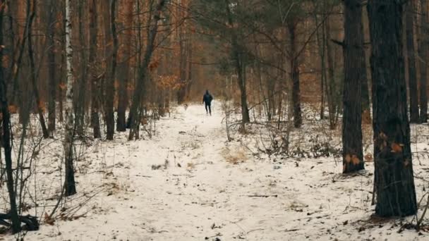 Volwassen man loopt met zijn hond ver weg — Stockvideo