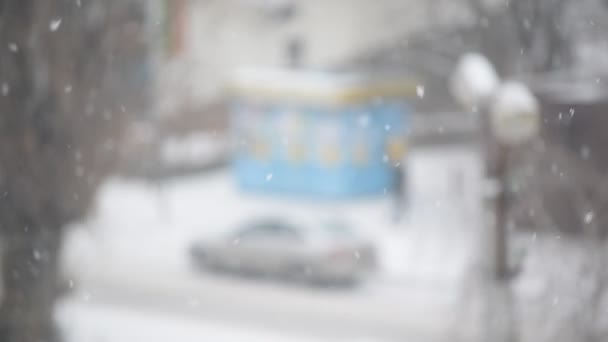 Снег падает на размытом фоне в городе — стоковое видео