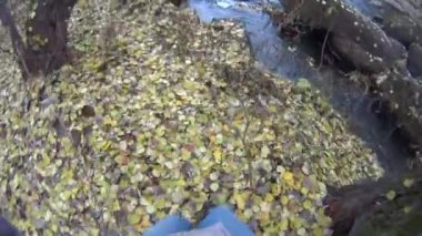 Bir kişinin ayak taşlı nehir banka yürümek