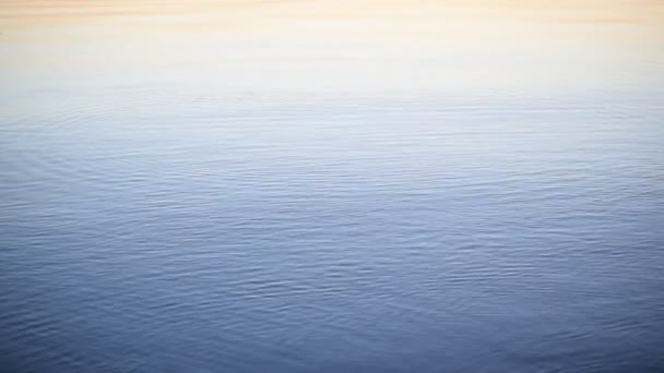 Piedra saltando sobre el agua al amanecer — Vídeos de Stock