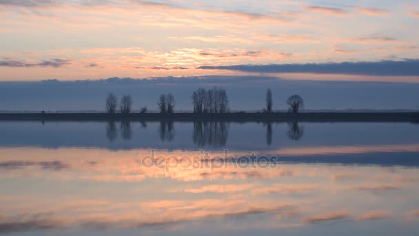 Gabbiano vola in cerchio sopra l'acqua calma all'alba — Video Stock