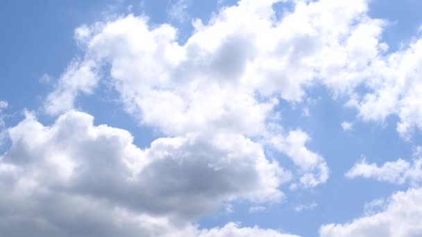 Mooie witte en grijze cumulus wolken snel verplaatsen op achtergrond van blauwe hemel — Stockvideo