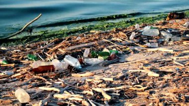 Çöp sahilde