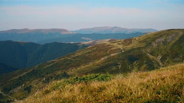 Paisaje con hierba de pradera en verano en las montañas — Vídeos de Stock