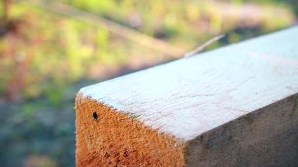 Een vierkant framing wordt gebruikt voor het markeren van een houten balk — Stockvideo