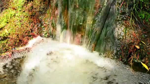Hermosa cascada pequeña con agua burbujeante clara — Vídeos de Stock