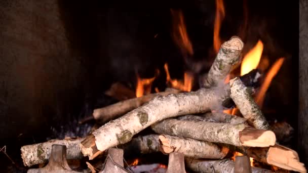 Zeitraffer des Feuers im Kamin — Stockvideo