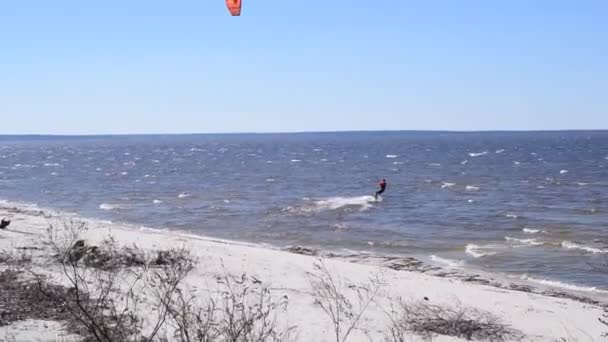 Kite surfing in spring — Stock Video