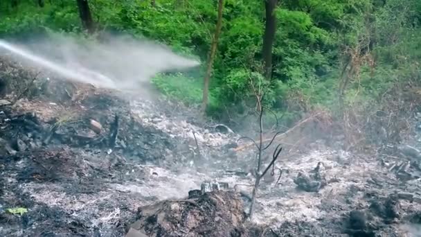 Тушение пожара в лесу — стоковое видео