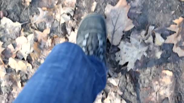 Piedi camminano a terra con foglie cadute in slomo — Video Stock