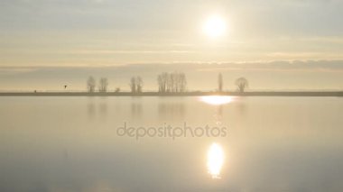 Martı etrafında sakin su yüzey üzerinde uçar