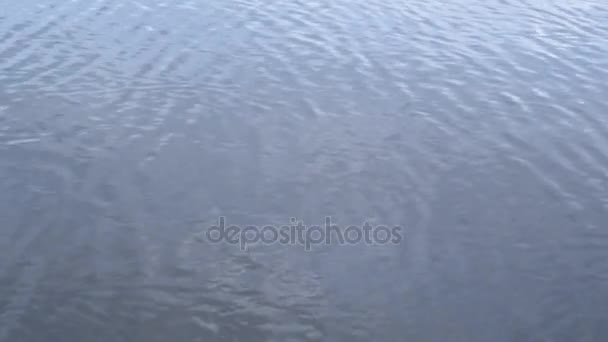 Pietra cade in acqua . — Video Stock