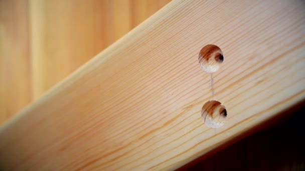 Conducción de un tornillo en tablón de madera — Vídeo de stock