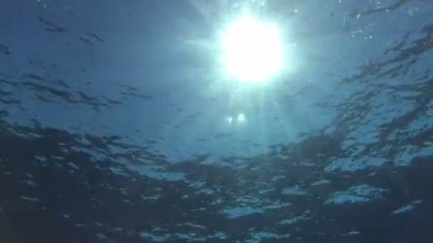 Plan sous-marin d'un soleil traversant l'eau en 4K — Video