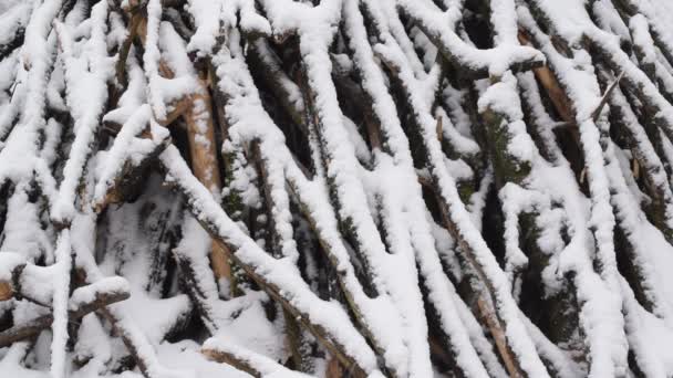 Sneeuw valt in slowmotion op achtergrond van berg van takken en twijgen — Stockvideo