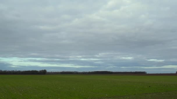 Zeitraffer der Wolken, die sich schnell über das grüne Feld bewegen — Stockvideo