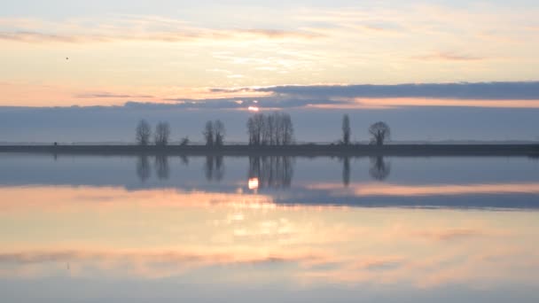 Möwe fliegt über ruhige Wasseroberfläche von See oder Fluss — Stockvideo