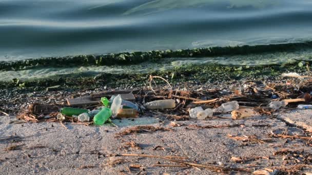 Poubelle sur la plage avec surf d'eau sale polluée verdâtre — Video