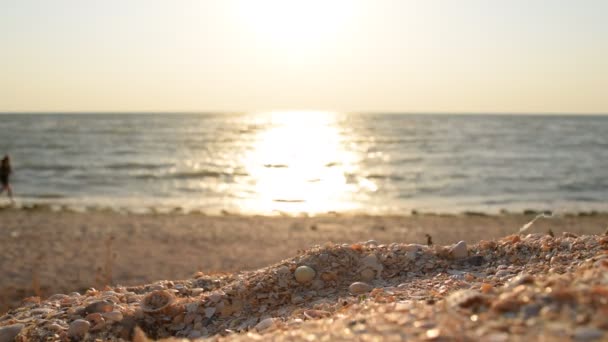 Femme en surpoids non identifiable court sur la plage à l'aube — Video