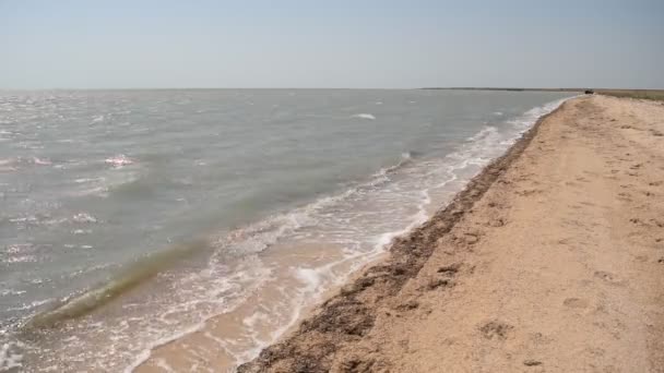 Playa de arena en un día soleado con olas — Vídeo de stock