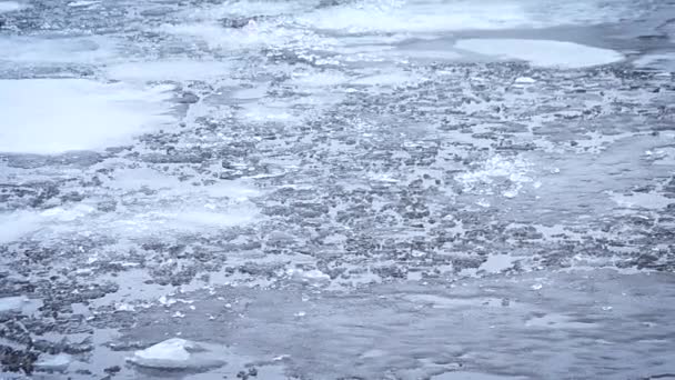Оттепель. Кусочки, блоки и поплавки тающего льда плавают на воде — стоковое видео