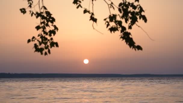 夏季日出或日落时美丽的湖泊或河流 — 图库视频影像