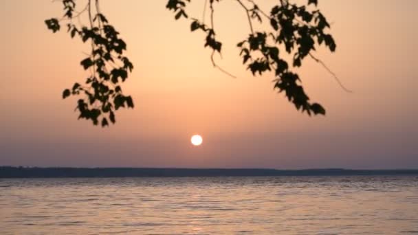 Hermoso lago o río durante el amanecer o el atardecer en verano — Vídeo de stock