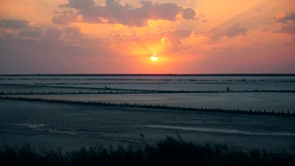 Lapso de tempo de belo pôr-do-sol colorido com nuvens de cúmulo de luz solar fervente movendo-se no céu laranja e amarelo acima da silhueta escura — Vídeo de Stock