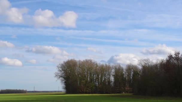 Σύννεφα που κινούνται σε μπλε του ουρανού πάνω από πράσινο πεδίο και το δάσος — Αρχείο Βίντεο